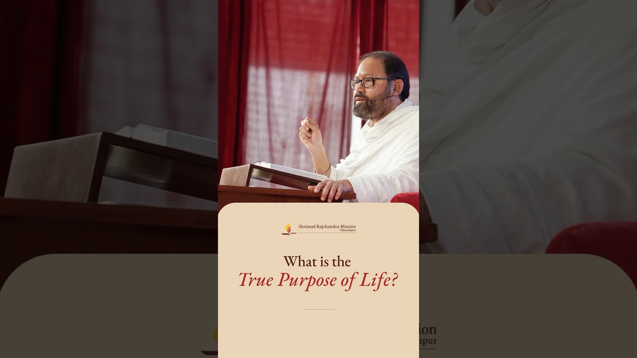 What is the True Purpose of Life?